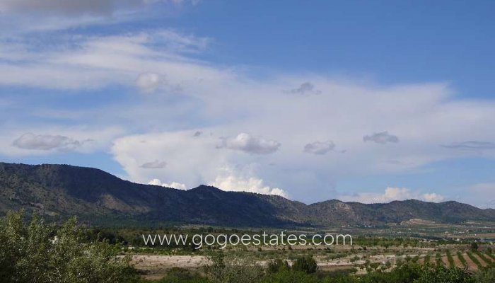 Te koop - Huis - Finca - Cortijo - Salinas - Salinas Centro