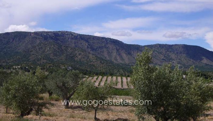 Te koop - Huis - Finca - Cortijo - Salinas - Salinas Centro