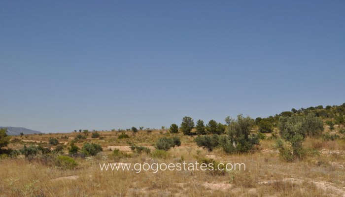 Revente - Terrain - Terrain - Pinoso - Pinoso Centro
