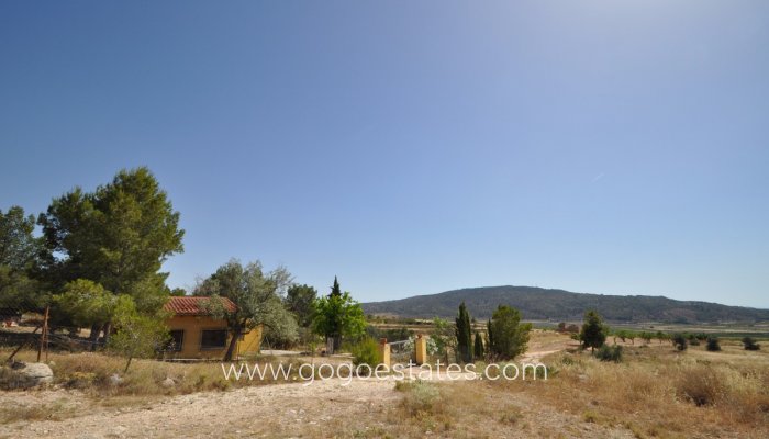 Revente - Terrain - Terrain - Pinoso - Pinoso Centro