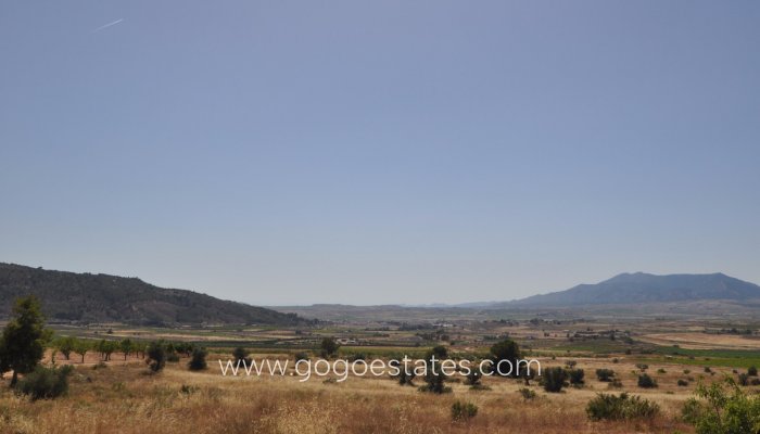 Revente - Terrain - Terrain - Pinoso - Pinoso Centro