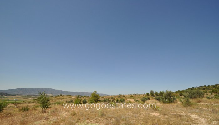 Revente - Terrain - Terrain - Pinoso - Pinoso Centro