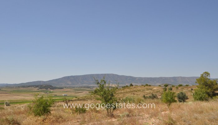 Revente - Terrain - Terrain - Pinoso - Pinoso Centro