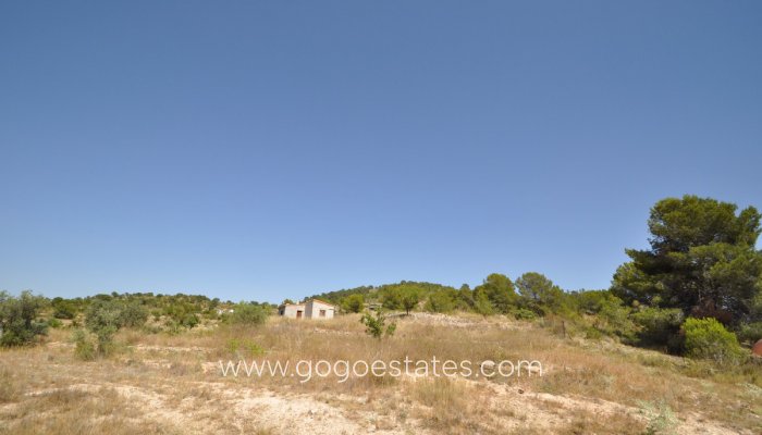 Revente - Terrain - Terrain - Pinoso - Pinoso Centro