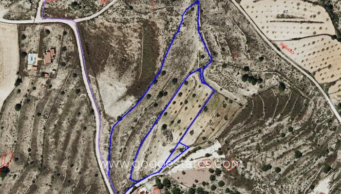 Revente - Terrain - Terrain - Pinoso - Pinoso Centro