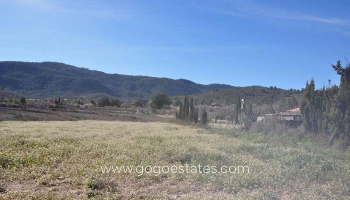 Te koop - Perceel - Land - Monóvar - Monòver - Chinorlet