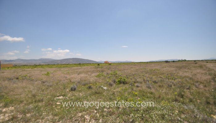 Revente - Terrain - Terrain - Pinoso - Pinoso Centro