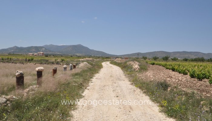 Revente - Terrain - Terrain - Pinoso - Pinoso Centro