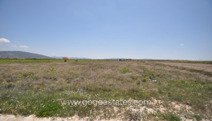 Revente - Terrain - Terrain - Pinoso - Pinoso Centro