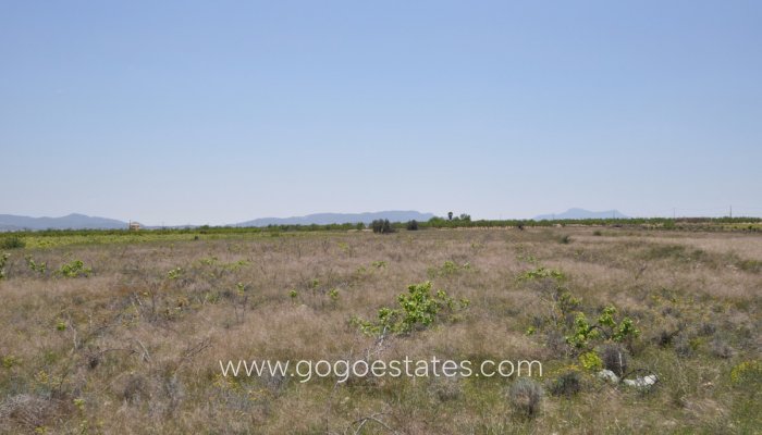 Revente - Terrain - Terrain - Pinoso - Pinoso Centro