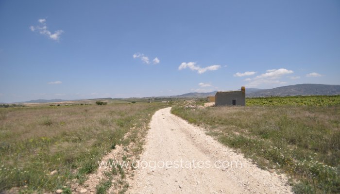 Revente - Terrain - Terrain - Pinoso - Pinoso Centro