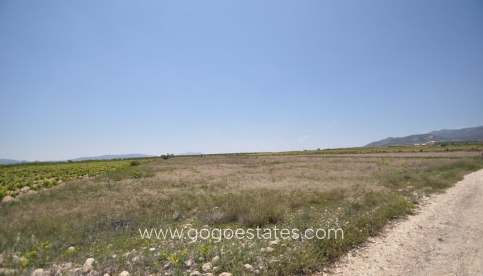 Revente - Terrain - Terrain - Pinoso - Pinoso Centro