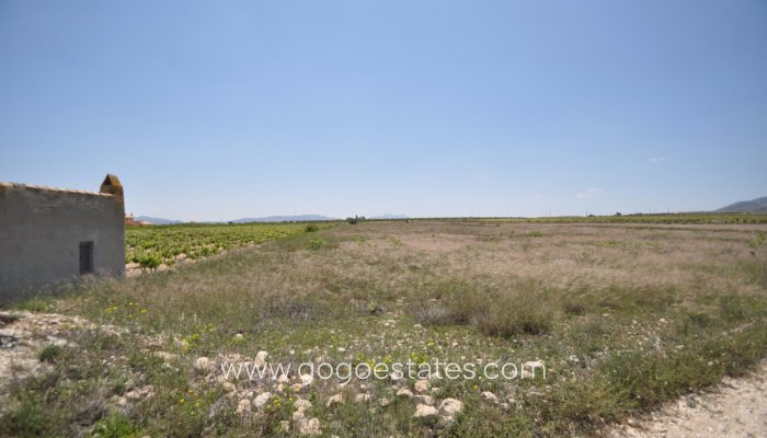 Revente - Terrain - Terrain - Pinoso - Pinoso Centro