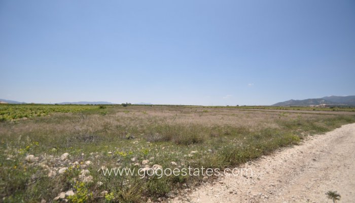 Revente - Terrain - Terrain - Pinoso - Pinoso Centro