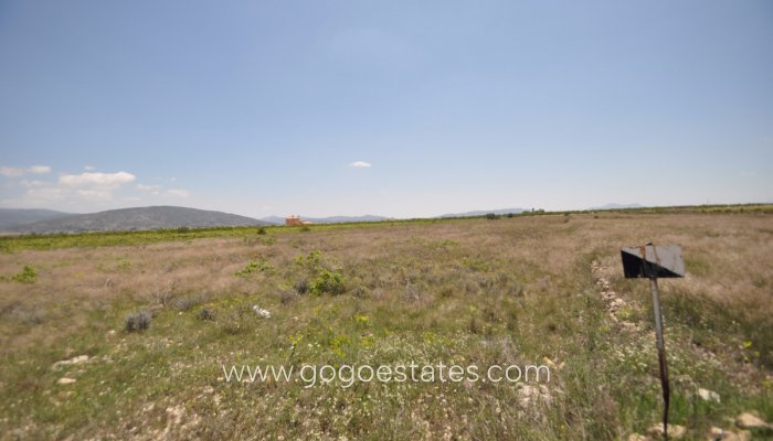 Revente - Terrain - Terrain - Pinoso - Pinoso Centro