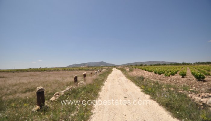 Revente - Terrain - Terrain - Pinoso - Pinoso Centro