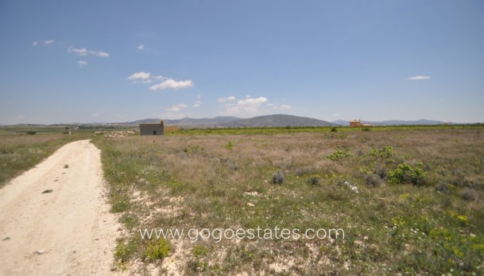 Revente - Terrain - Terrain - Pinoso - Pinoso Centro