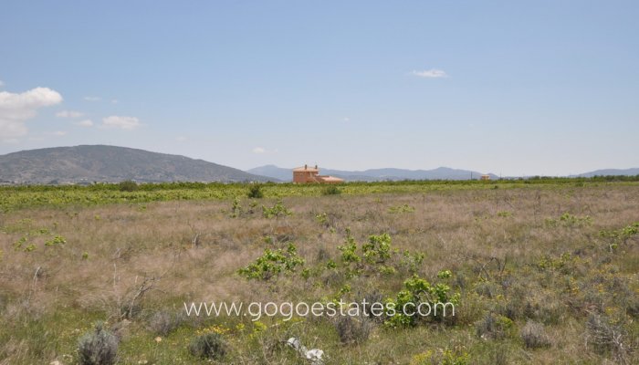 Revente - Terrain - Terrain - Pinoso - Pinoso Centro
