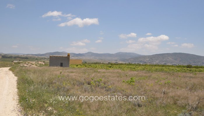 Revente - Terrain - Terrain - Pinoso - Pinoso Centro