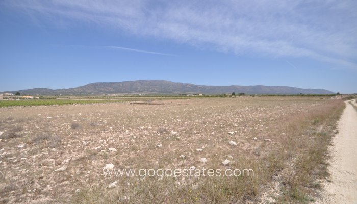Revente - Terrain - Terrain - Pinoso - Pinoso Centro