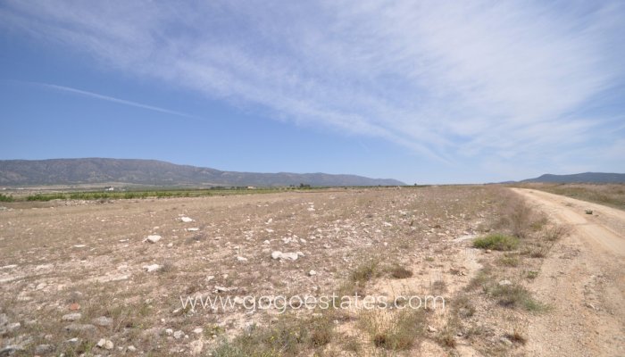 Revente - Terrain - Terrain - Pinoso - Pinoso Centro