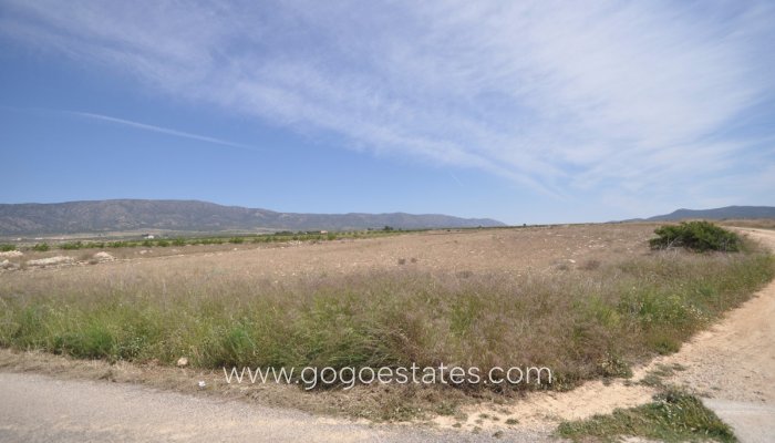 Revente - Terrain - Terrain - Pinoso - Pinoso Centro