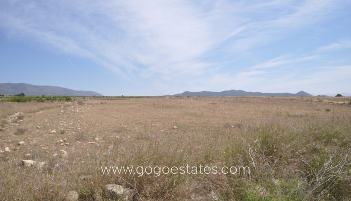 Revente - Terrain - Terrain - Pinoso - Pinoso Centro