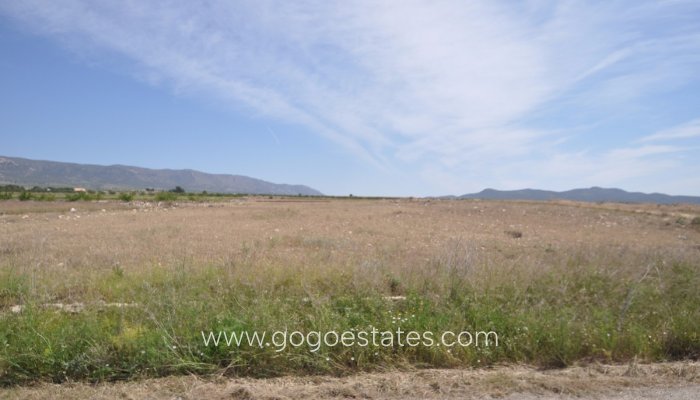 Revente - Terrain - Terrain - Pinoso - Pinoso Centro