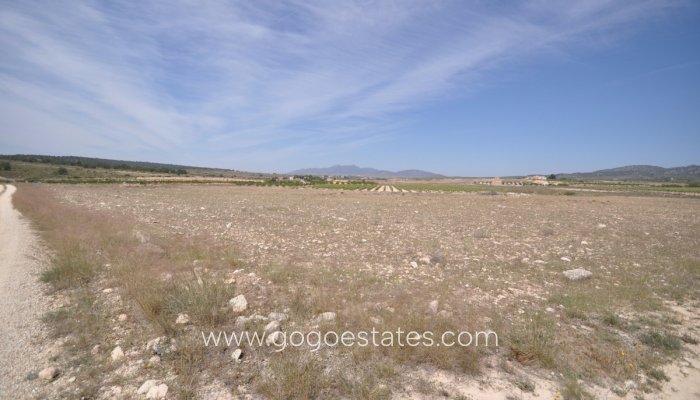 Revente - Terrain - Terrain - Pinoso - Pinoso Centro