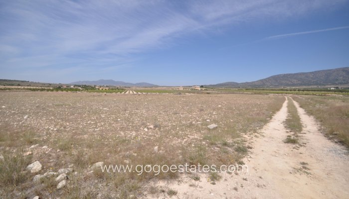 Revente - Terrain - Terrain - Pinoso - Pinoso Centro