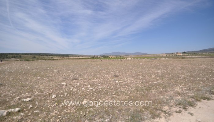 Revente - Terrain - Terrain - Pinoso - Pinoso Centro