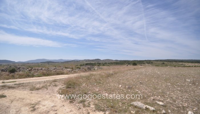 Revente - Terrain - Terrain - Pinoso - Pinoso Centro