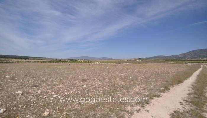 Revente - Terrain - Terrain - Pinoso - Pinoso Centro