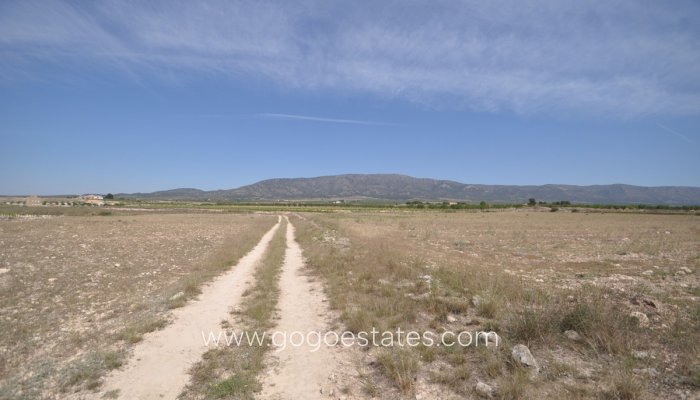 Revente - Terrain - Terrain - Pinoso - Pinoso Centro