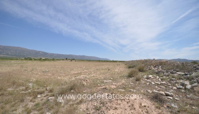 Revente - Terrain - Terrain - Pinoso - Pinoso Centro