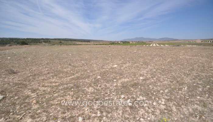 Revente - Terrain - Terrain - Pinoso - Pinoso Centro