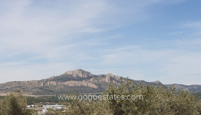 Te koop - Perceel - Land - Sax - Sax Centro