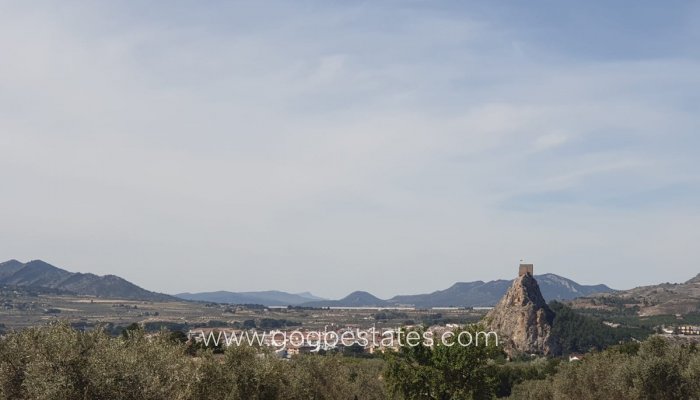 Te koop - Perceel - Land - Sax - Sax Centro