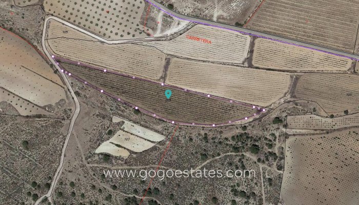 Te koop - Perceel - Land - Pinoso - Pinoso Centro