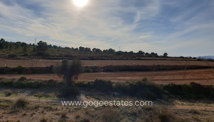 Te koop - Perceel - Land - Pinoso - Pinoso Centro