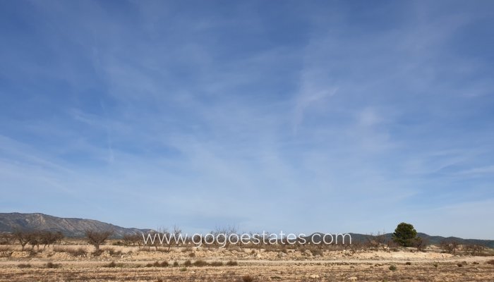 Te koop - Perceel - Land - Pinoso - Pinoso Centro