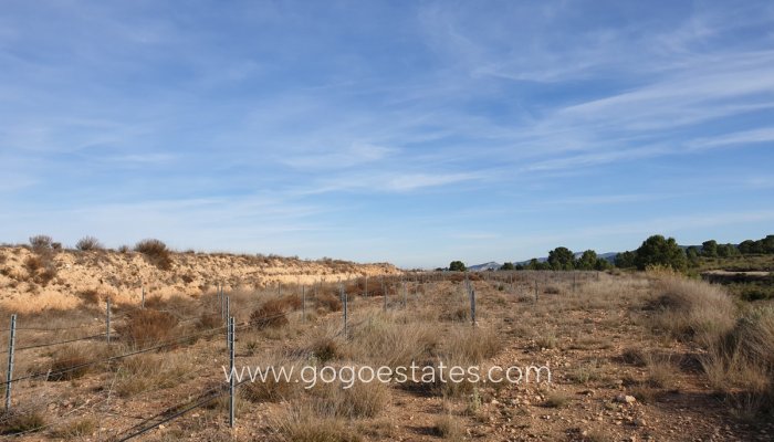 Te koop - Perceel - Land - Pinoso - Pinoso Centro