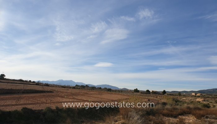 Te koop - Perceel - Land - Pinoso - Pinoso Centro