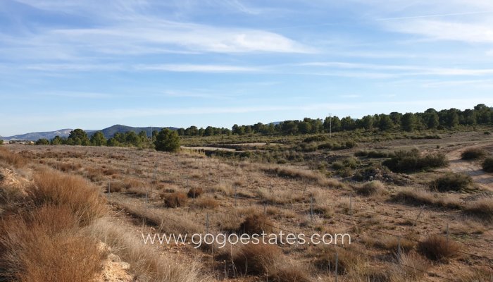 Te koop - Perceel - Land - Pinoso - Pinoso Centro