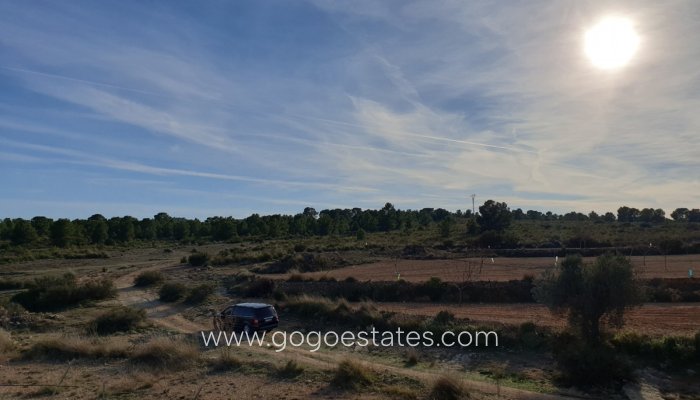 Te koop - Perceel - Land - Pinoso - Pinoso Centro