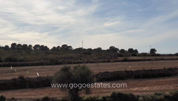 Te koop - Perceel - Land - Pinoso - Pinoso Centro