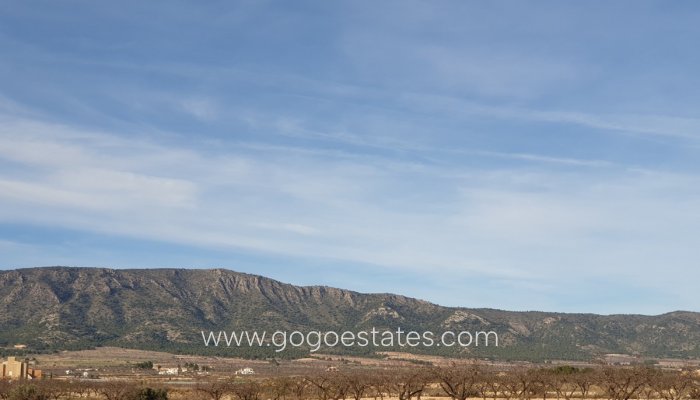 Te koop - Perceel - Land - Pinoso - Pinoso Centro