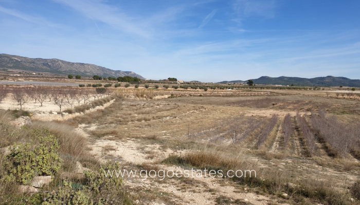 Te koop - Perceel - Land - Pinoso - Pinoso Centro