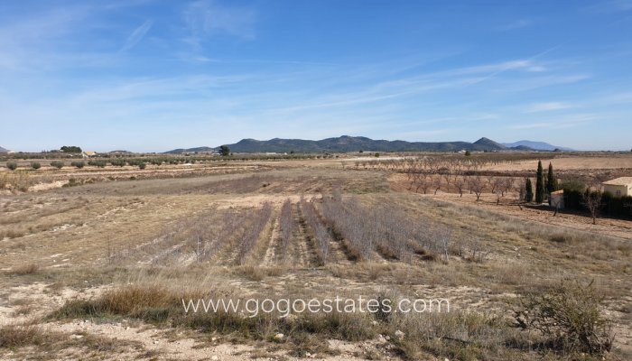 Te koop - Perceel - Land - Pinoso - Pinoso Centro