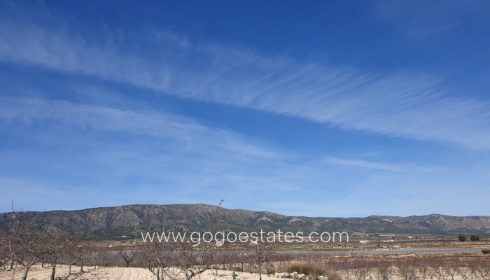 Te koop - Perceel - Land - Pinoso - Pinoso Centro